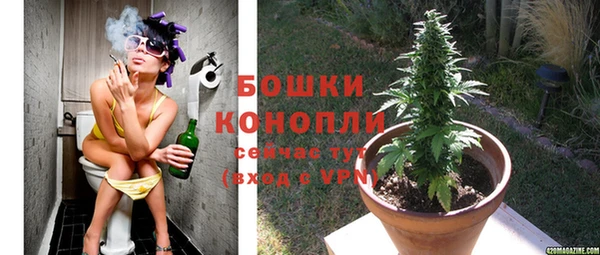 соль курить ск Белокуриха