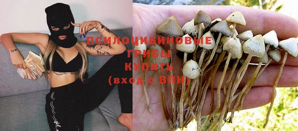 соль курить ск Белокуриха